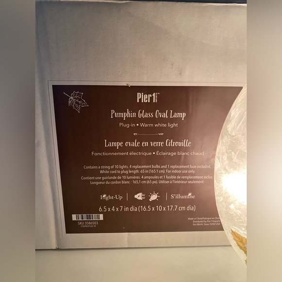 New! Pier 1 pumpkin lamp fall decor - Picture 2 of 5